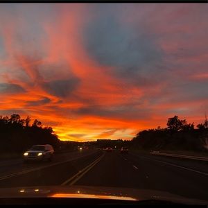 Meet your Posher, Morgann